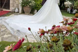 L’Impero degli sposi - 6