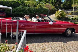 Classic Cars - 12