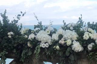 Mariella Carola - 11