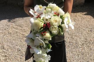 Pietre e Colore - 20
