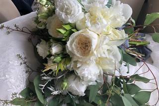 Mariella Carola - 13