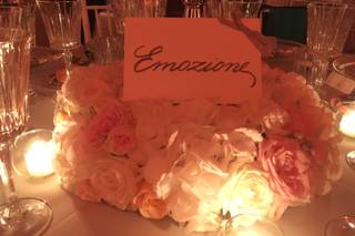 Flavia Bruni - Daisy Flowers - 13