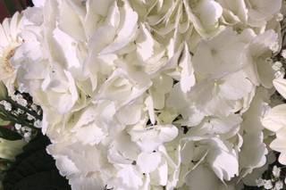 I Fiori di Zoe Weddings - 25
