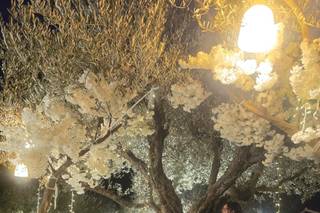 Casale Amato - 6