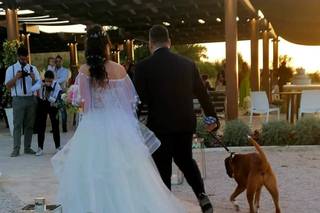 Angela Caputo Sposa - 12