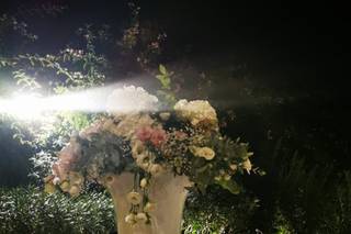 Vulcano dei Fiori - 10