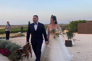 Angela Caputo Sposa - 13