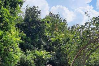 Come in una Favola - Treviso - 16