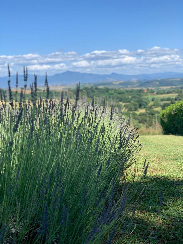 Tenuta Rossignoli - 2