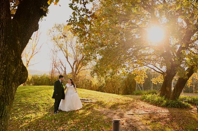 Photographic Studio - 1