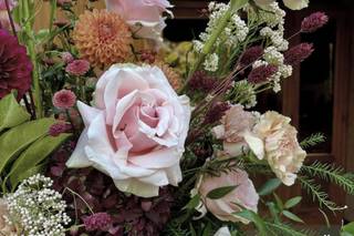 FloreAlle - 5