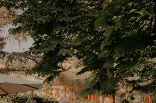 La Cascina Fiorita - 7