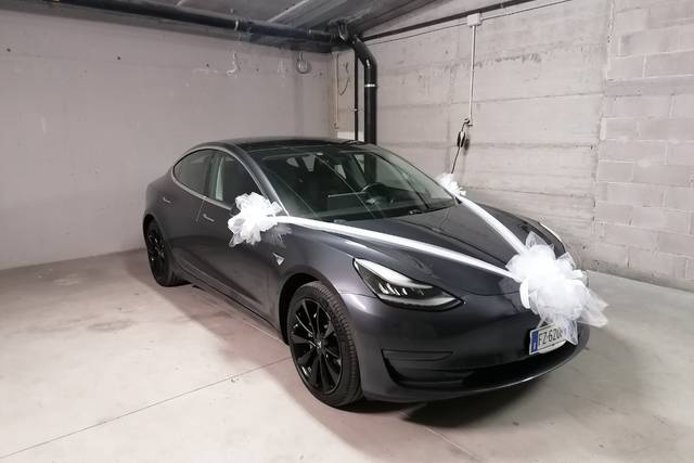 Enerev - Noleggio Tesla 1