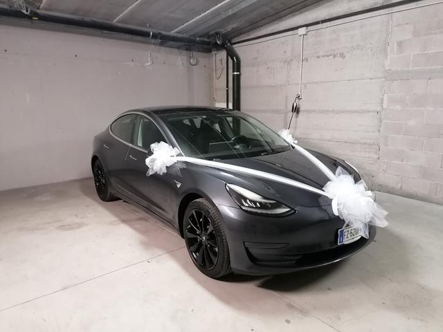 Enerev - Noleggio Tesla - 1