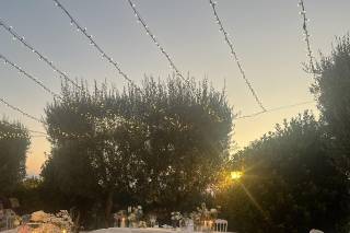 Apollinare Catering - 5