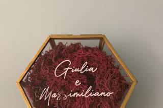 piovendo calligraphy - 17