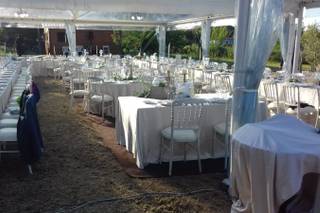 Artemisia Organizzazione Eventi - 7