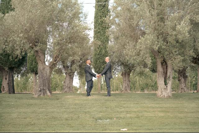 Masseria Falco - 3