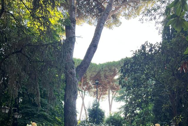 Villa dei Volsci 2