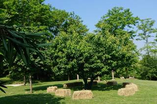 Country House Il Bucaneve - 16