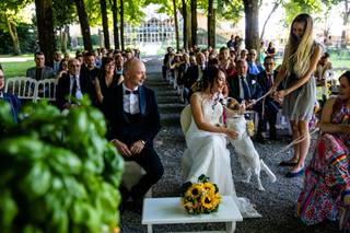 Le Mariage Parfait - Wedding Pet Sitting - 6