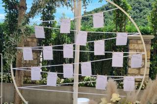 Tironi Bruno Fiori - 10