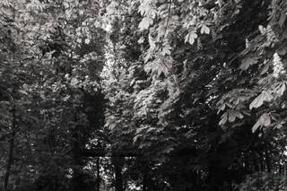 Sara Argiolas Photography - 26