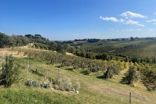 Casale Il Pino 3