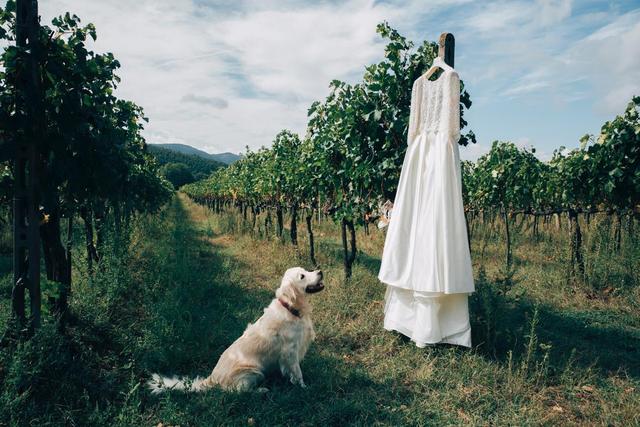 Andrea Bartolozzi - Wedding Movie - 4