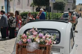 Emozione 500 - 14