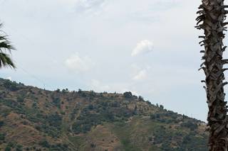 Hamalia - 7