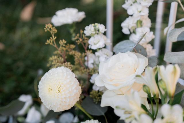 Novaflor di Braschi Rosita - 3