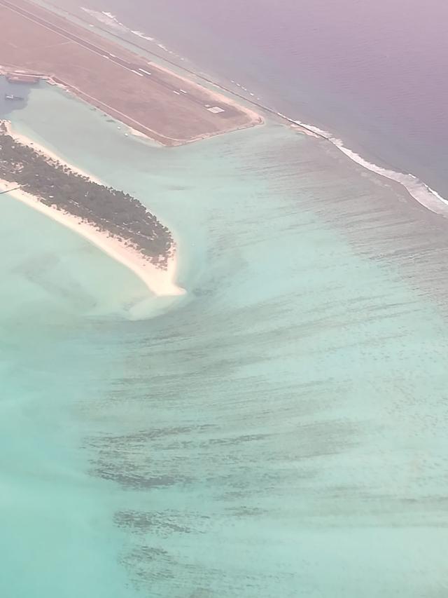 Felix Travel - 2
