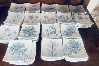 Erbacea LAB - 12