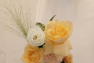 MissFiori - 5