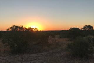 Zebrasoma Viaggi - 9