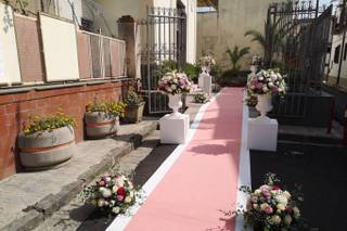 Piante e Fiori Gennaro Scognamiglio - 7
