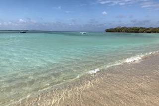 Zebrasoma Viaggi - 10