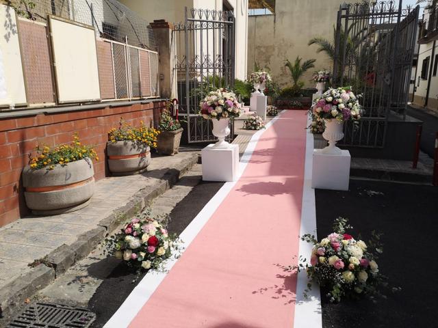Piante e Fiori Gennaro Scognamiglio - 1