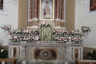 Piante e Fiori Gennaro Scognamiglio - 8