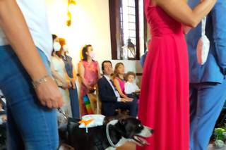 Matrimonio a 6 Zampe - 8