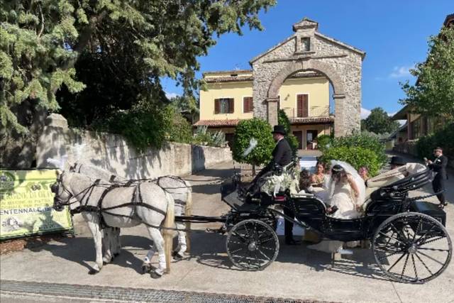 Il Vetturino di Proietti Coraggi Christian 2