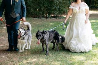 Oh my dog wedding - 12