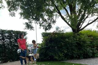 Ila Wedding Dog Sitter - 12