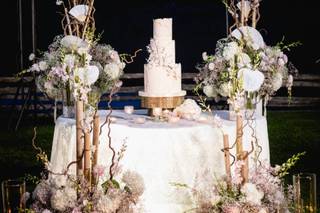 Bressan Viviana - 12