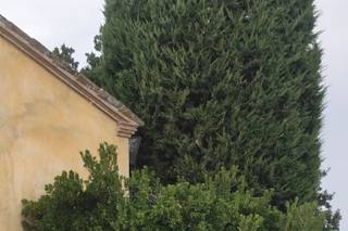 Noleggio Auto Cerimonia NAC Umbria - 8