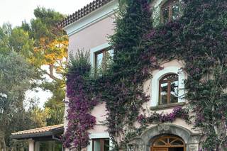 Exclusive Dreams - 11