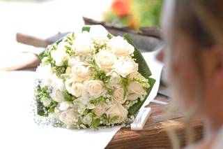 Infinitas Photo Films - 11