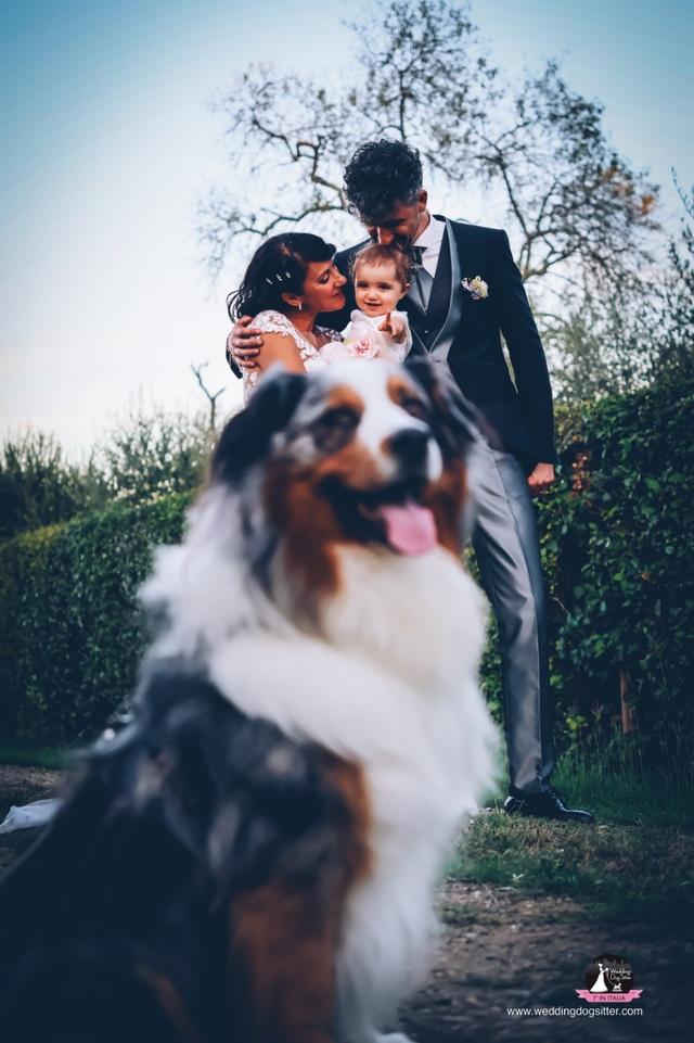 Wedding Dog Sitter - Alessio Faggi - 2
