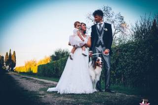 Wedding Dog Sitter - Alessio Faggi - 6